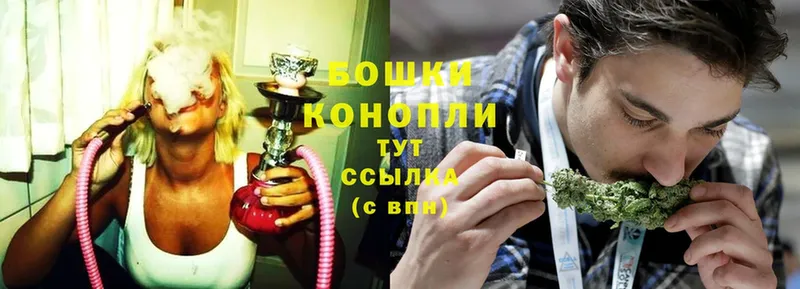 закладка  Пушкино  Канабис Ganja 